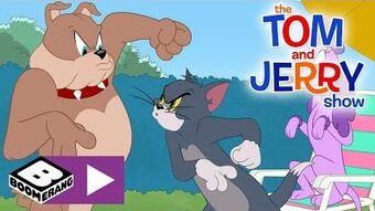 Springtime For Spike Tom And Jerry Wiki Fandom