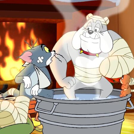 Spike Bulldog Gallery Tom And Jerry Tales Tom And Jerry Wiki Fandom
