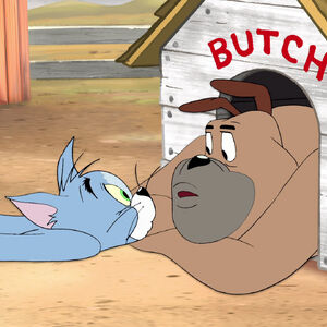 Butch Dog Tom And Jerry Wiki Fandom