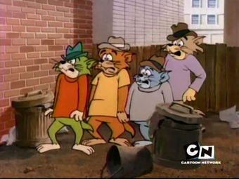 The Alley Cat Gang Tom And Jerry Wiki Fandom
