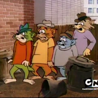 The Alley Cat Gang Tom And Jerry Wiki Fandom