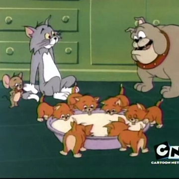 The Kitten Sitters Tom And Jerry Wiki Fandom