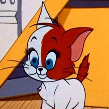 Kitten Tom And Jerry Wiki Fandom