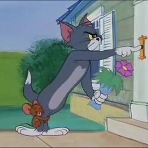 Tom And Jerry Tumblr Post Imgur