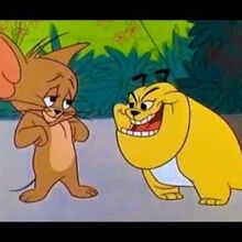 Tom And Jerry Episode 80 Puppy Tale 1954 Youtube