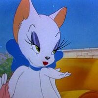 Toodles Tom And Jerry Fanon Wiki Fandom
