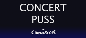 Concert Puss