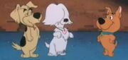 Duke, Annie, and Scrappy-Doo