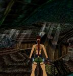 Village4