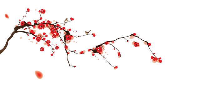 Risultati immagini per cherry blossom png