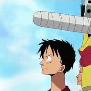 One Piece Toonami Wiki Fandom