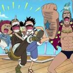 One Piece Toonami Wiki Fandom