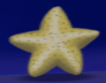 Starfish treasure