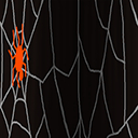 Spider Skirt Texture