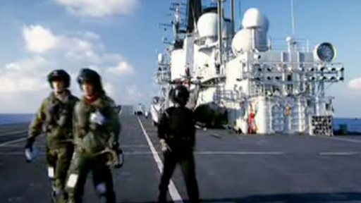 navy stig
