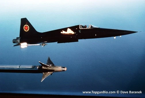 DA.C - View Single Post - HM F-5F Top Gun 