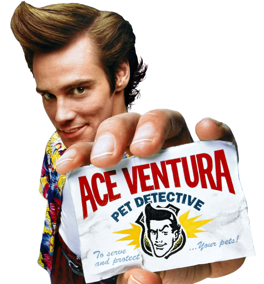 Ace Ventura | Top-Strongest Wikia | FANDOM powered by Wikia