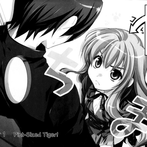 Manga Edition 1 Gallery Toradora Wiki Fandom