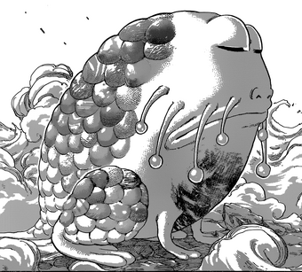 Get Wallpaper God Ingredient Toriko Fan Fiction Wiki Fandom Free