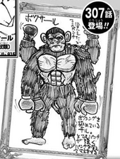 Boxer Ape Submission