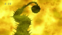 Dodurian Bomb past explosion