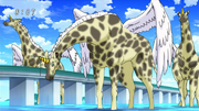 Giraffebird 1