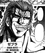 Zebura