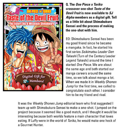 Torikonepiece