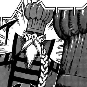 Cooking Festival Arc Toriko Wiki Fandom