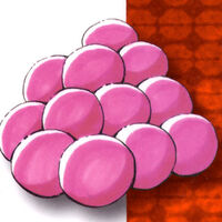 Medicinal Mochi Toriko Wiki Fandom