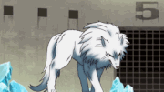 Battle Wolf kills Demon Devil Python