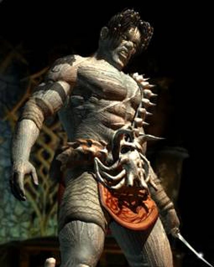 Get Wallpaper The Nameless One Torment Wiki Fandom Free