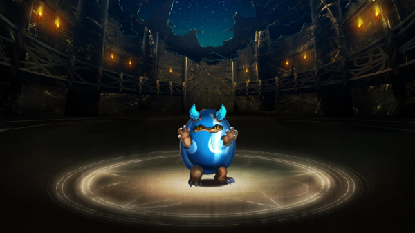 Pet262