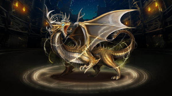 Pet316