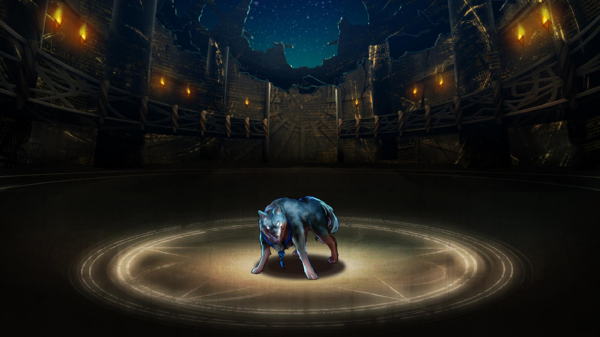 Pet106
