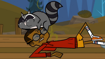 Racoon barf