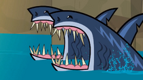 SharksAttack