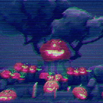 Https Encrypted Tbn0 Gstatic Com Images Q Tbn 3aand9gctkcuvlz Enn7zecyyl Vq6kjhw Ug5 Nq0mg Usqp Cau