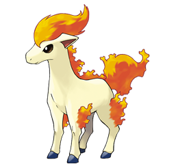 Ponyta
