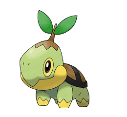 Turtwig