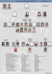 family crime bonanno mafia chart tree wikia