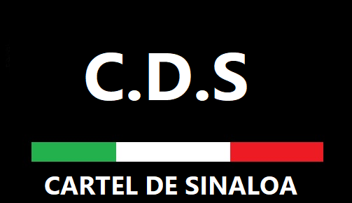 sinaloa cartel total war