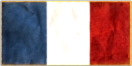 France Flag NTW
