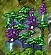 Enchanted Forest