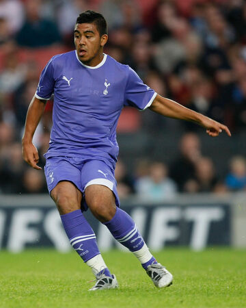 Massimo Luongo Tottenham Hotspur Wiki Fandom