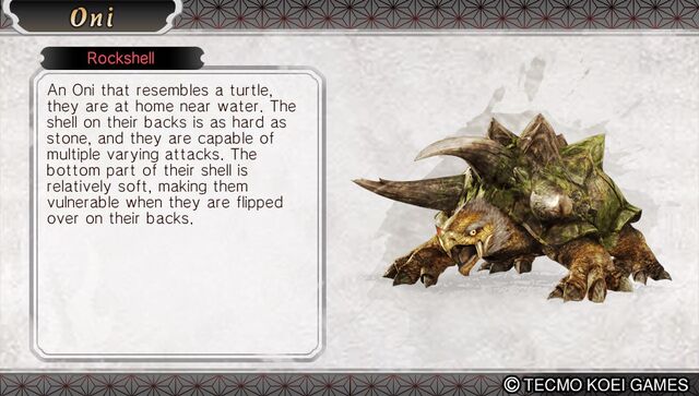 File:Rockshell.jpg