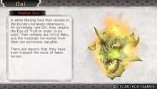 ShadowSoul