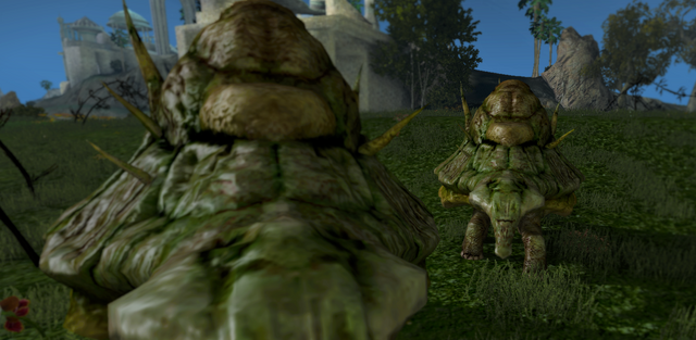 File:Sunjoq.png