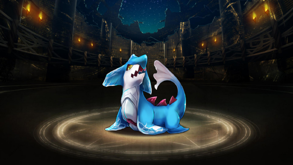 Pet042