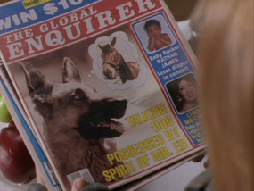 The-Global-Enquirer